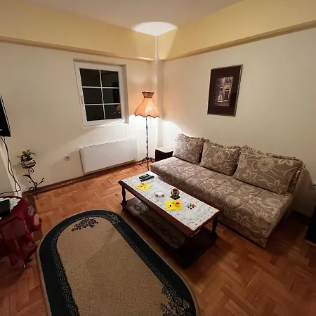 Apartment Vik Brzece