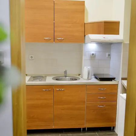 Apartment Vik Brzece *
