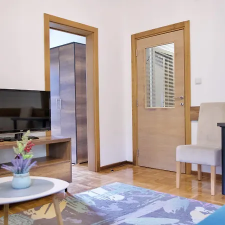 Apartment Vik Brzece